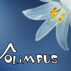 Nasi uczniowie laureatami olimpiady z języka angielskiego Olimpus – sesja wiosenna!