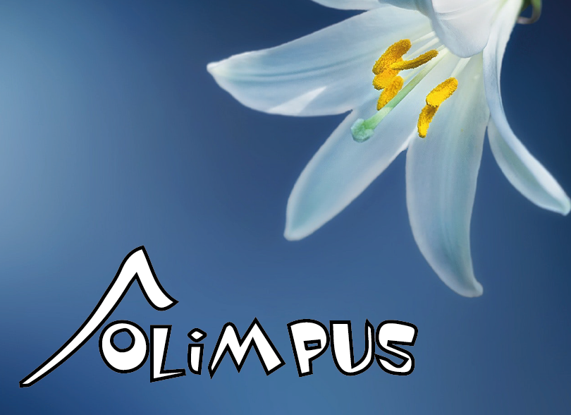Nasi uczniowie laureatami olimpiady z języka angielskiego Olimpus – sesja wiosenna! Nasi uczniowie laureatami olimpiady z języka angielskiego Olimpus – sesja wiosenna!