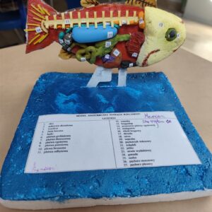 Projekt międzyprzedmiotowy Projekt międzyprzedmiotowy