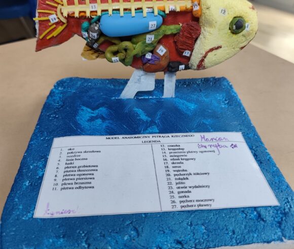 Projekt międzyprzedmiotowy