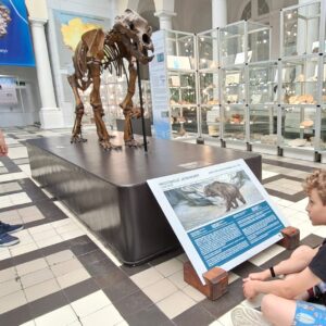 wycieczka do Muzeum Geologicznego
